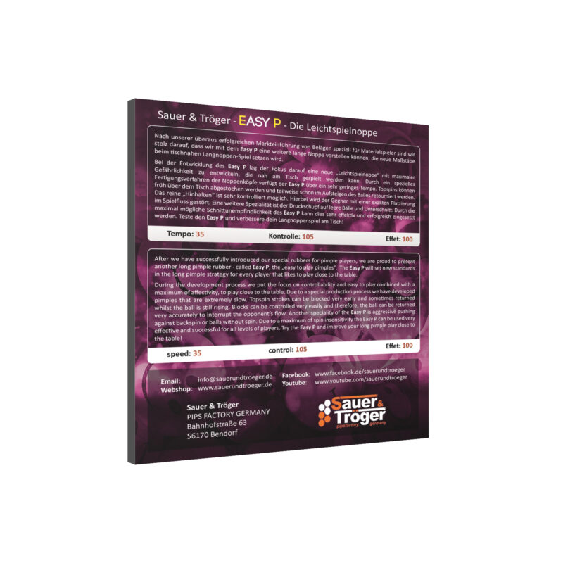 Sauer&Tröger 3D Rückseite